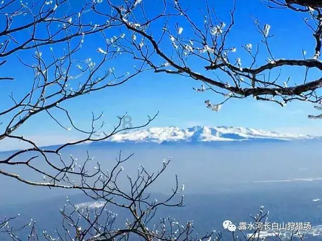 哪种板材比较环保？游戏画面